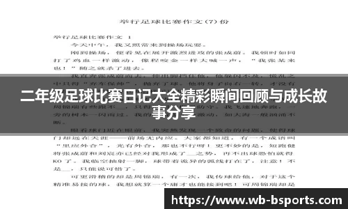 B体育官方